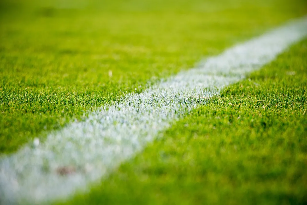 Exequiel Palacios Shines in Ipswich's Premier League Campaign